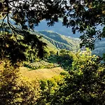 La Felce E Il Mirtillo Bed & Breakfast 3*