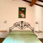 La Felce E Il Mirtillo