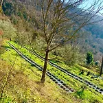 La Felce E Il Mirtillo Bed & Breakfast Il Palazzo