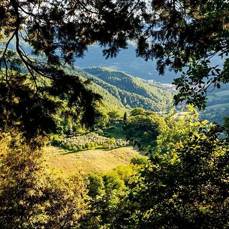 La Felce E Il Mirtillo Bed & Breakfast 3*