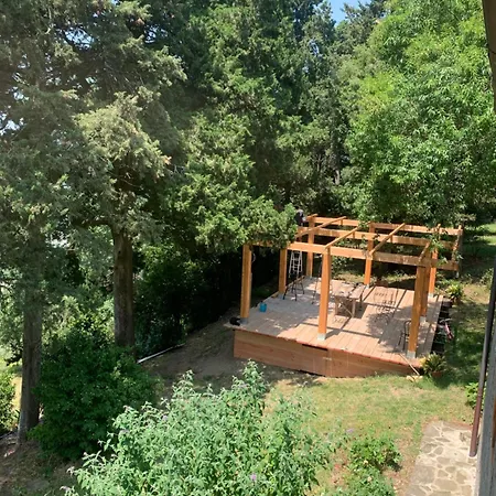 La Felce E Il Mirtillo 3*