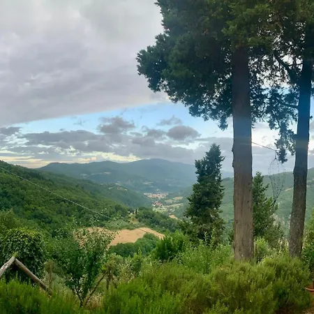 La Felce E Il Mirtillo 3*